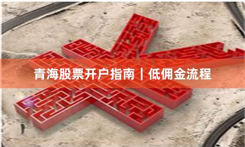 青海股票开户指南｜低佣金流程